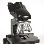 Микроскоп бинокулярный Levenhuk 850B — изображение 4