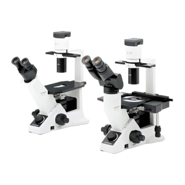 Микроскоп инвертированный Olympus CKX31