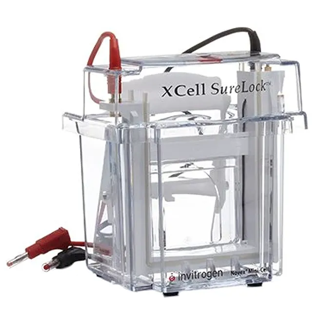 XCell SureLock Mini-Cell