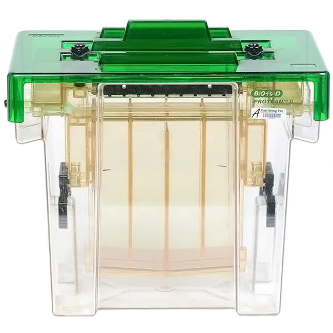 Protean ll XL