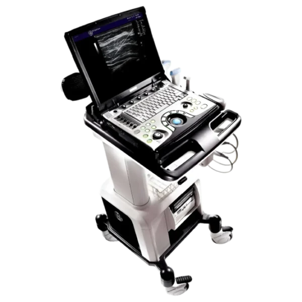 GE Healthcare Logiq E Портативный