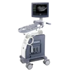 GE Healthcare Voluson P6