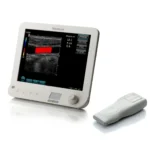 Siemens Acuson Freestyle