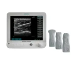 Siemens Acuson Freestyle