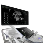 GE HealthCare Voluson Expert 22