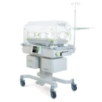 LeadBorn-2
