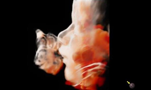 crystal_3d_img01_lg