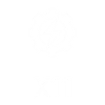 icon2
